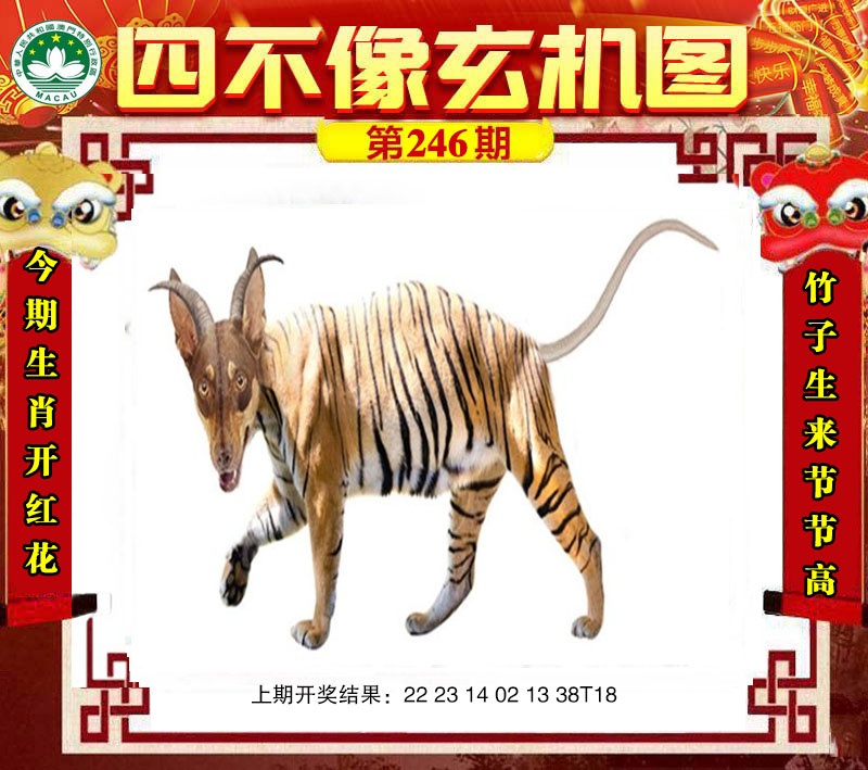 点击图片放大